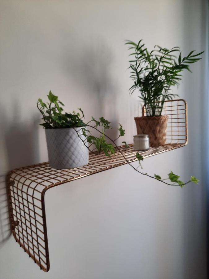 Apartament W Centrum Wroclawia Lägenhet Exteriör bild